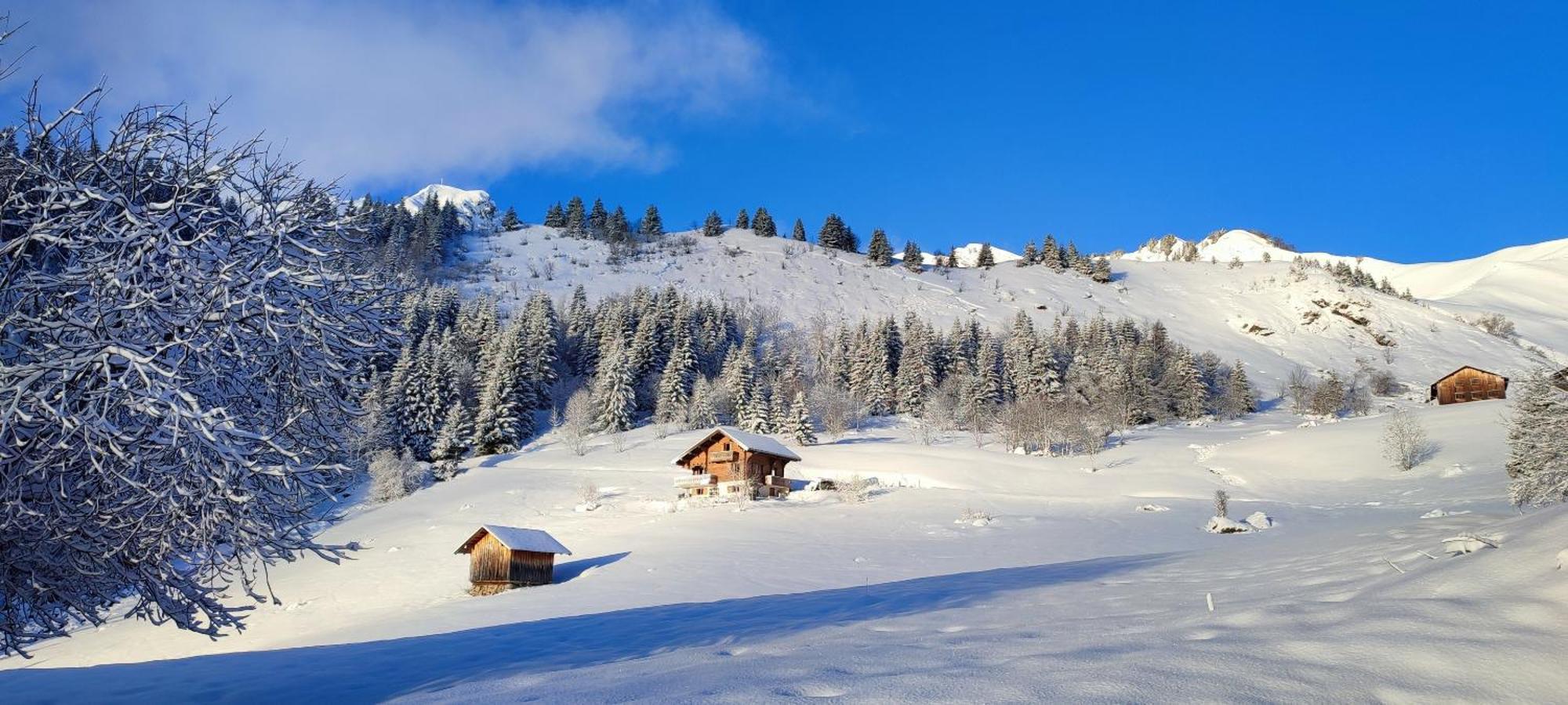 Le Taconet Hotel Le Praz de Lys Exterior foto